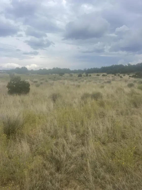 Picture 24