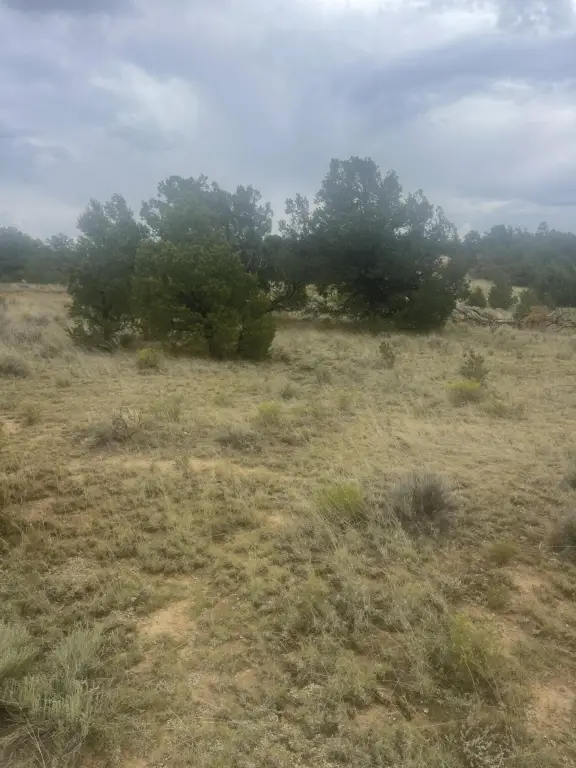 Picture 38