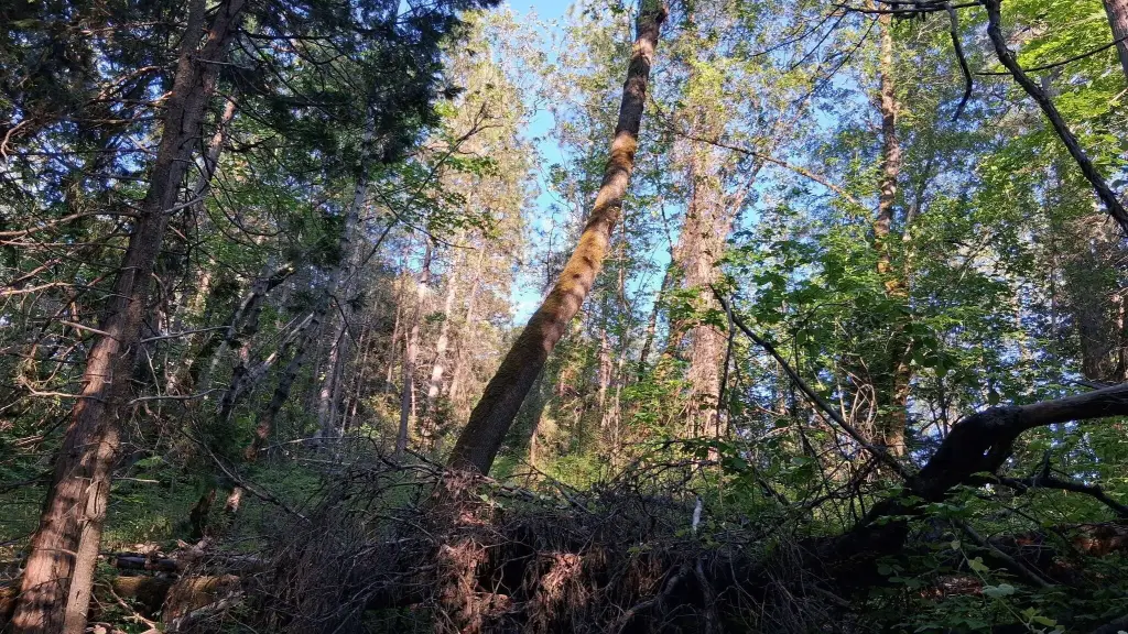 Picture 10