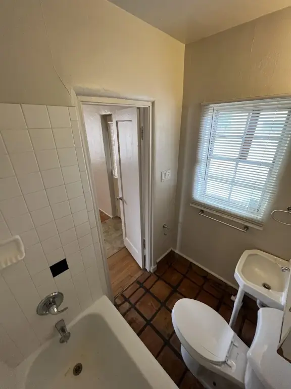 Picture 24