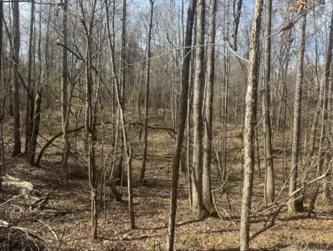 Holmes County Hunting Land Available