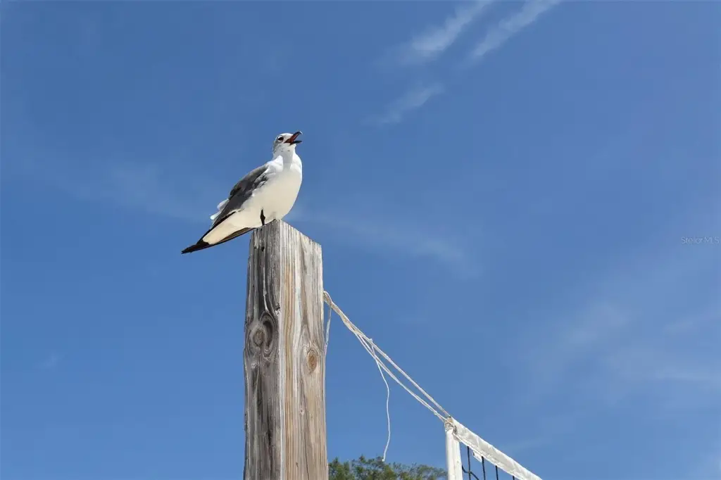 Picture 50