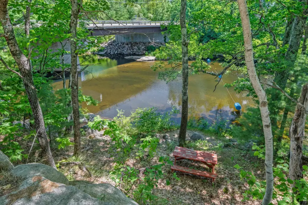 Picture 8