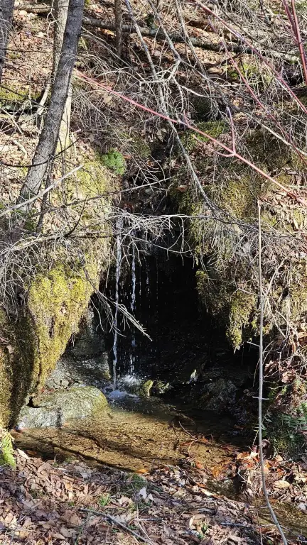 Picture 25