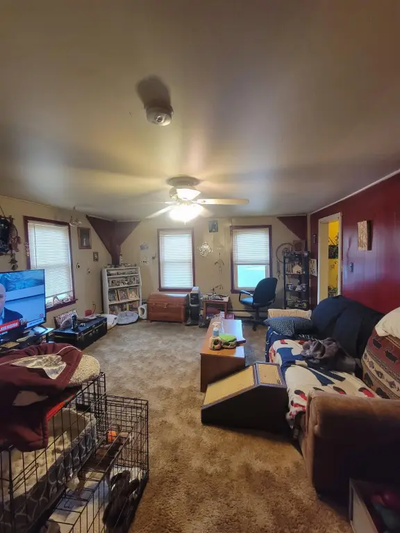 Picture 20