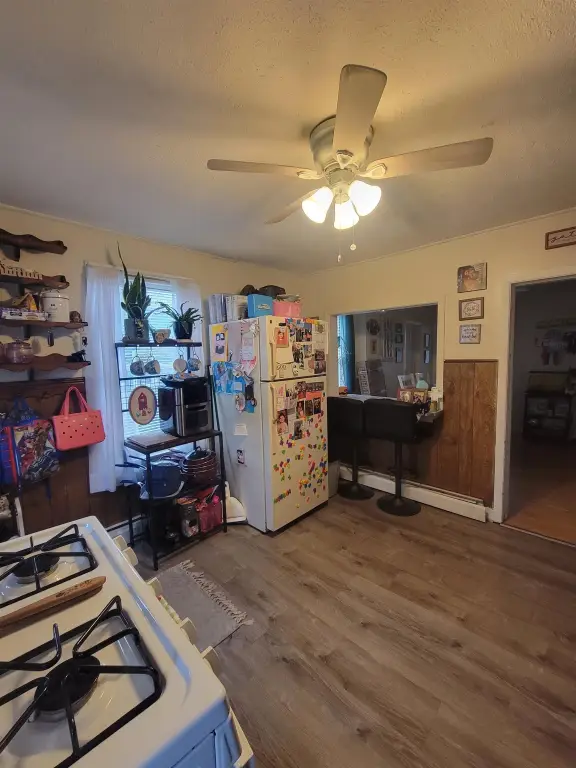 Picture 18