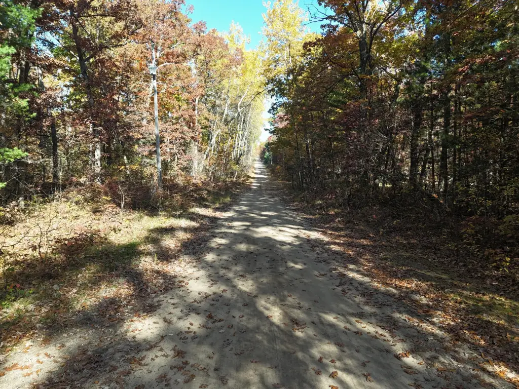 Picture 25