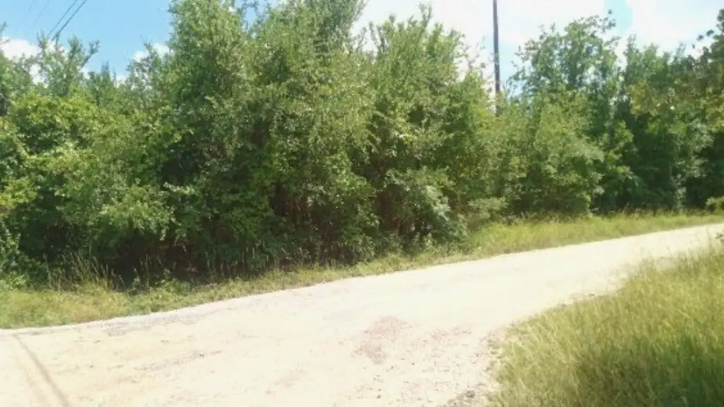 Picture 3
