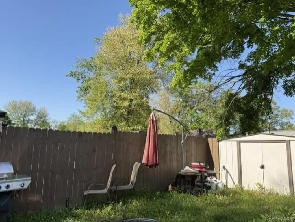 Picture 5