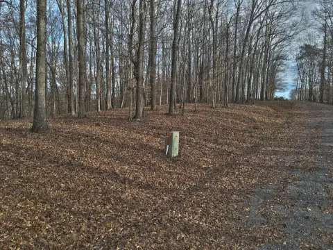 Residential Land in Lake Ridge