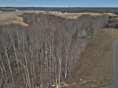 Residential Land in Lake Ridge