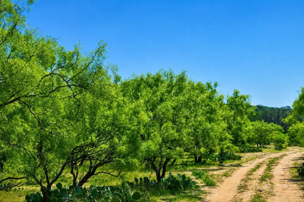 Picture 26