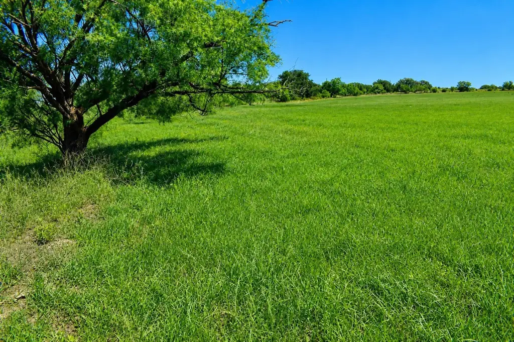 Picture 22