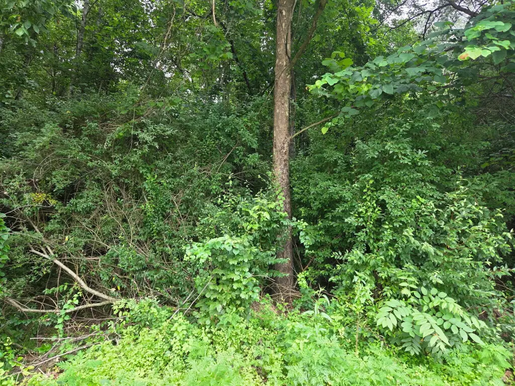 Picture 27