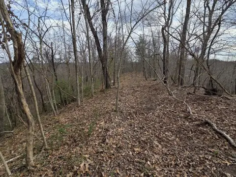 Undeveloped Land in Louisa, KY