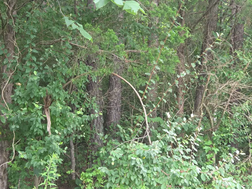 Picture 3
