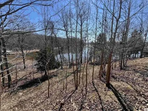 Lakefront Dock-Eligible Waterfront Lot