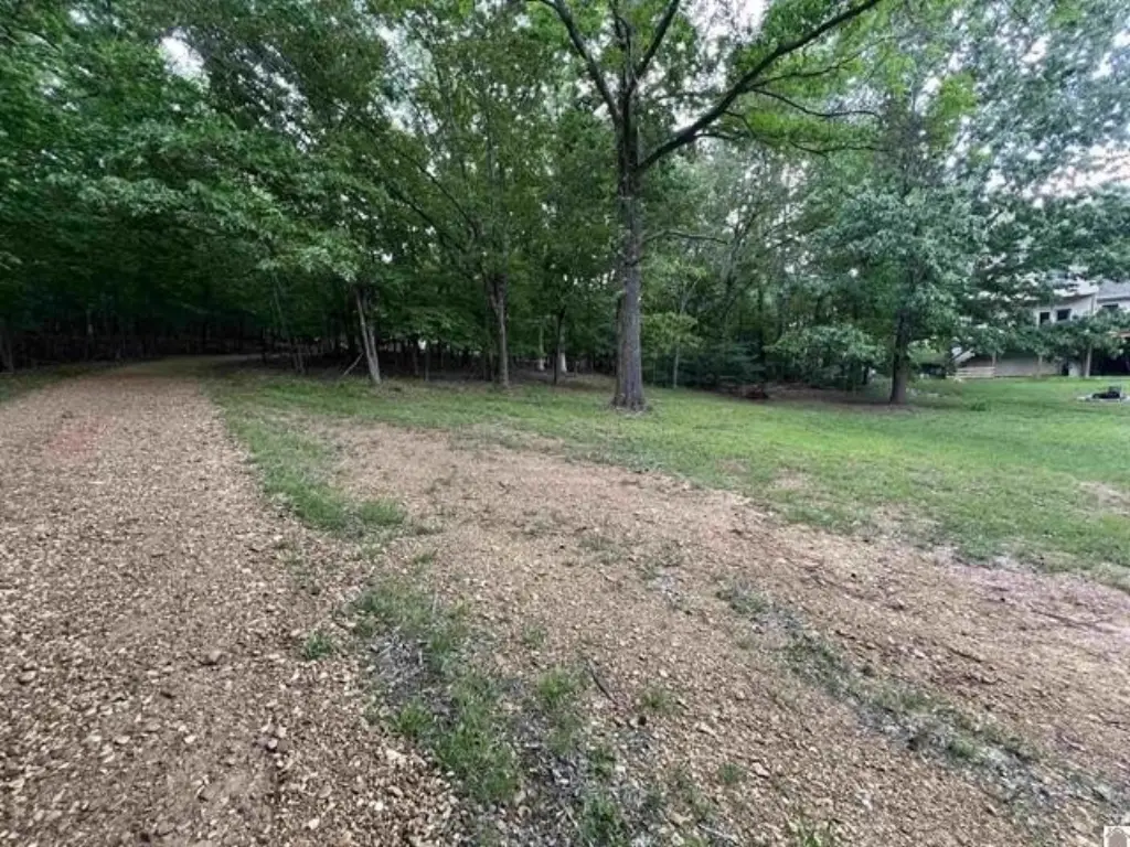 Picture 27