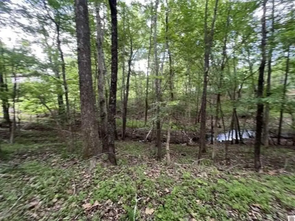 Picture 22