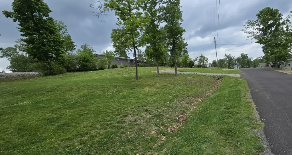 Picture 4