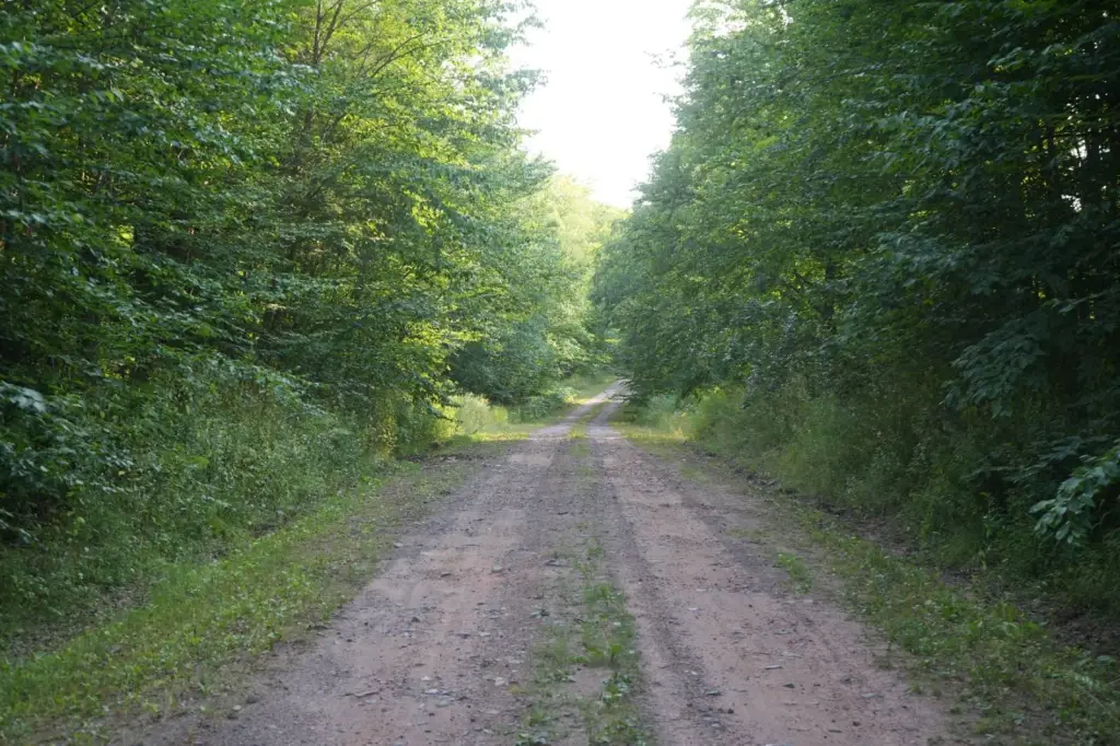 Picture 19