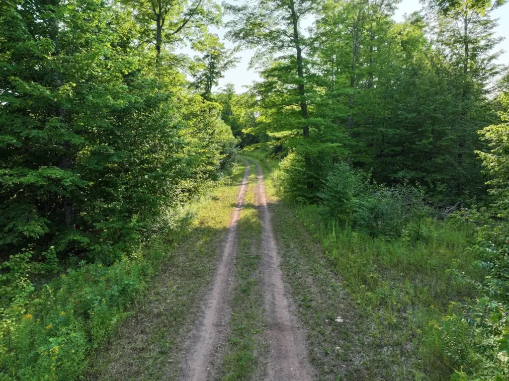 Picture 21