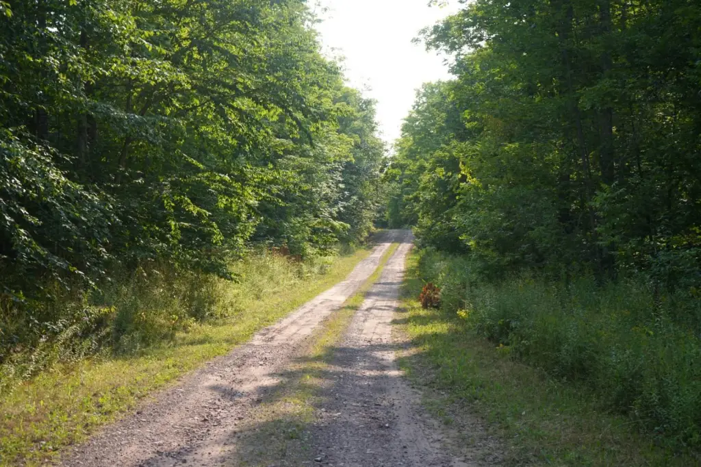 Picture 8