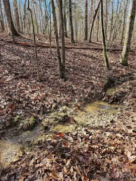 Concord Wooded Land Opportunity