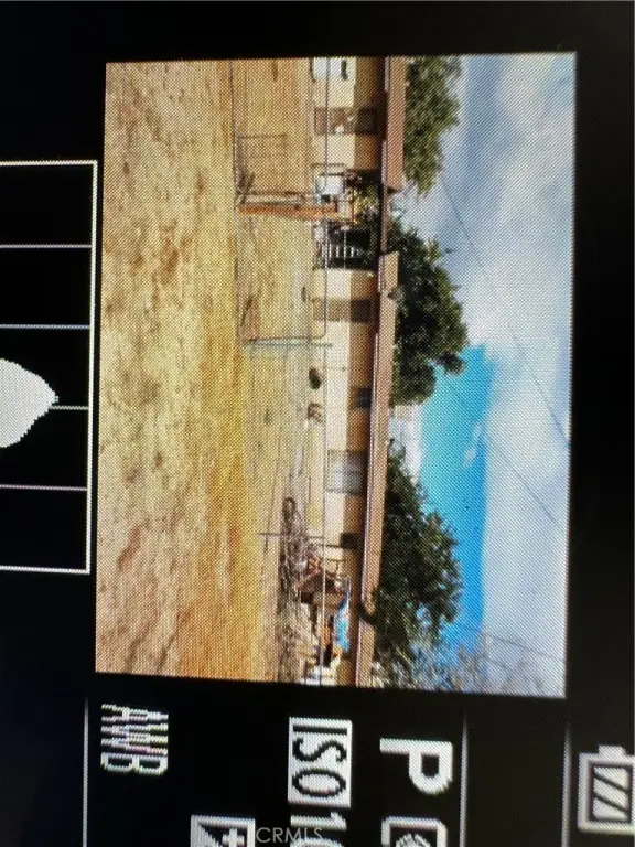 Picture 3