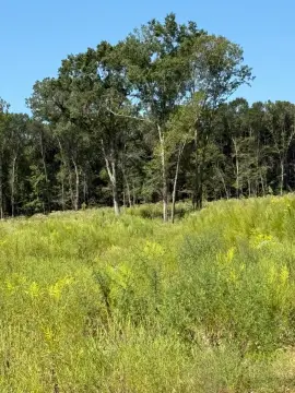 20 Acres Vacant Land