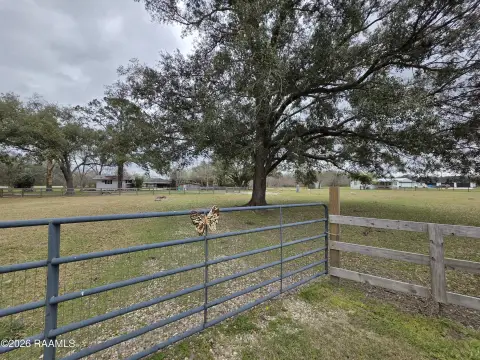 Unrestricted Land Near Hwy 190