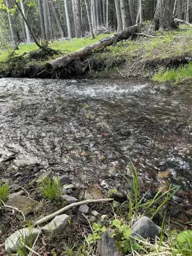 6.15 Acres in Newport, WA