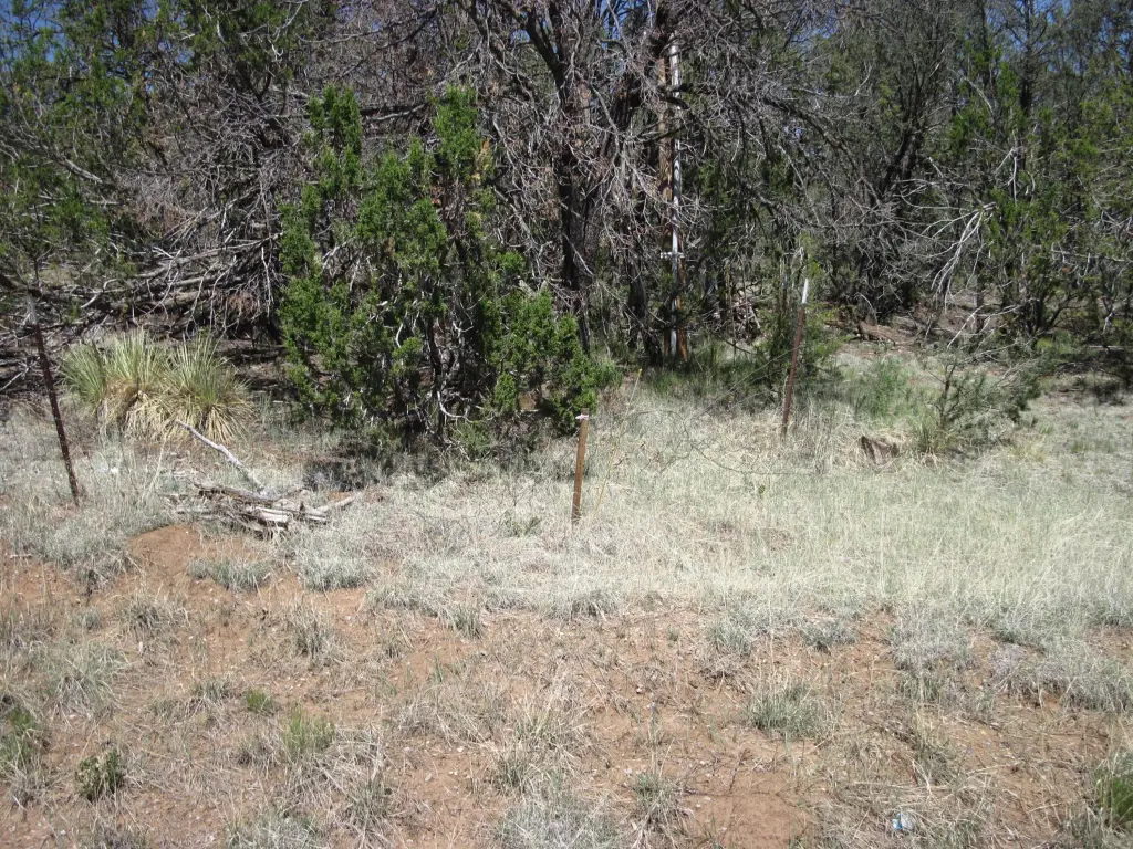 Picture 10