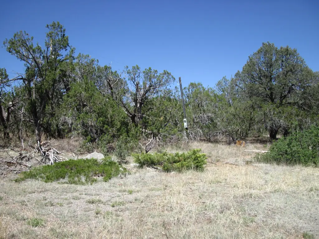 Picture 13