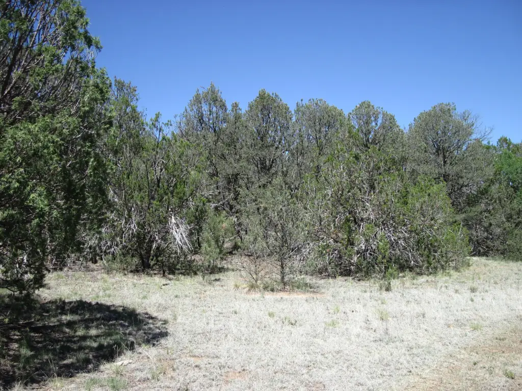 Picture 7