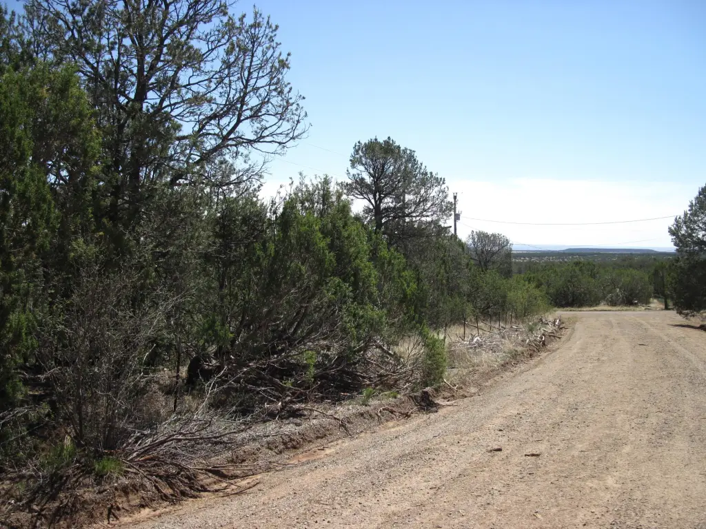 Picture 17