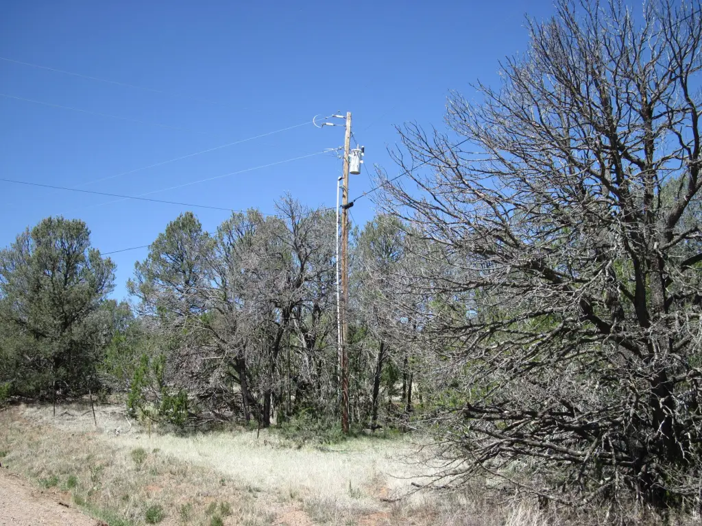 Picture 9