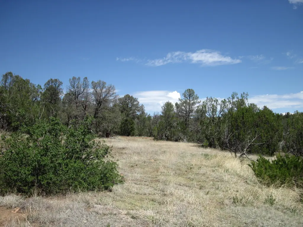 Picture 15