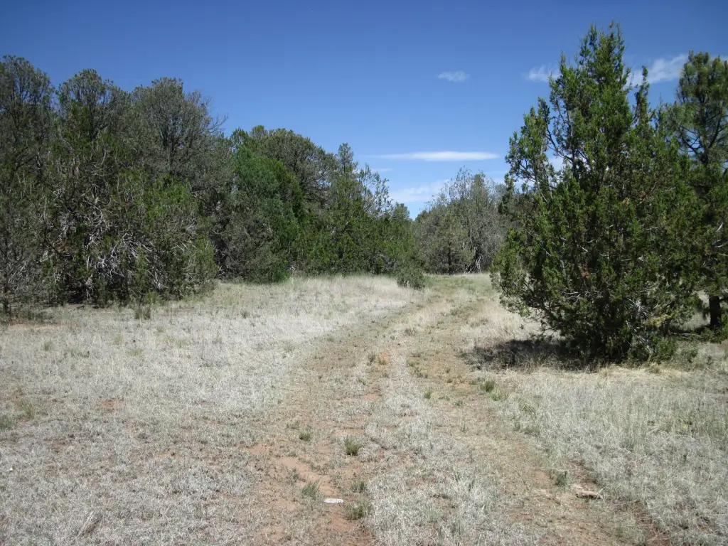 Picture 6