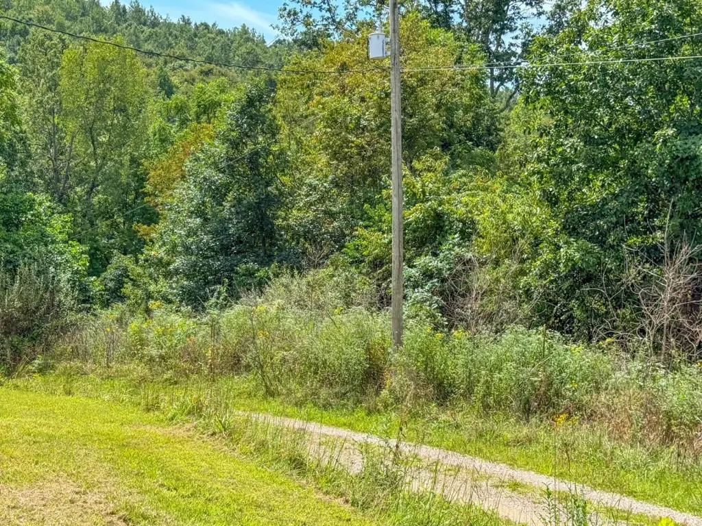 Picture 25