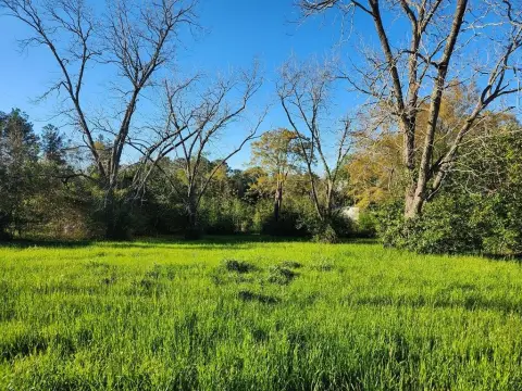 Residential Land in Abbeville, AL