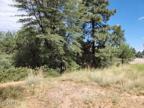 Commercial Lot in Payson, AZ