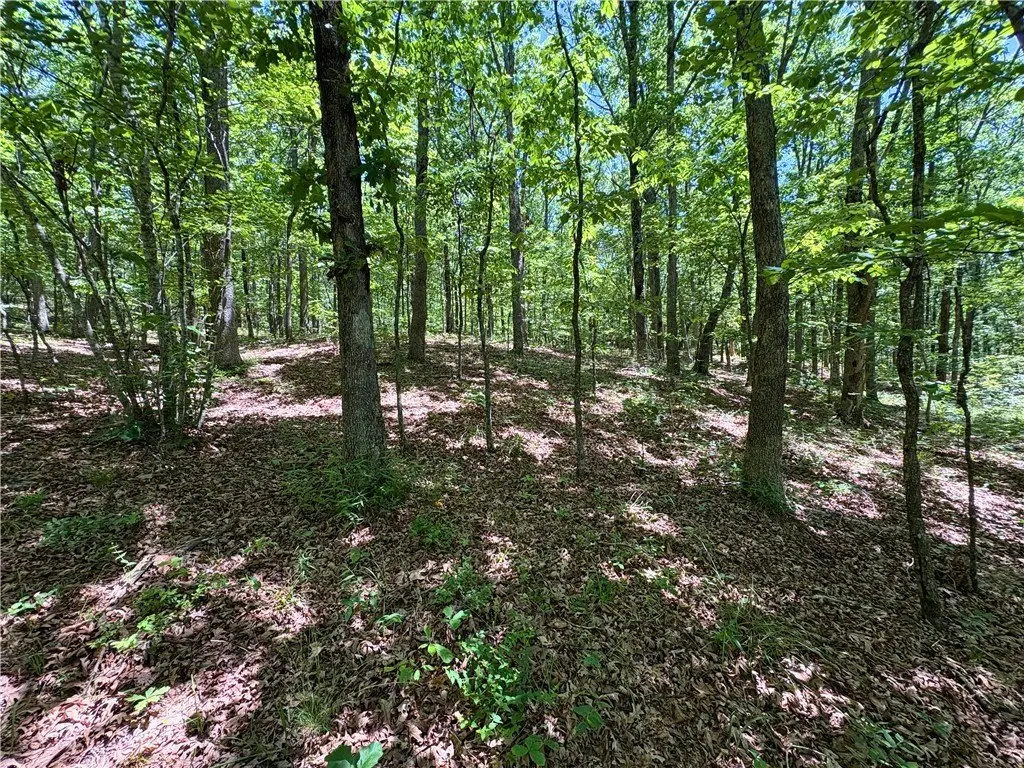 Picture 29
