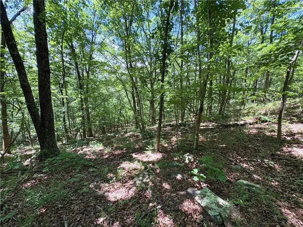 Picture 16