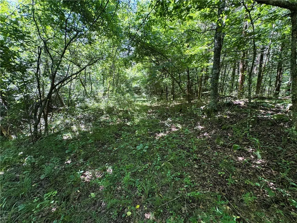 Picture 28