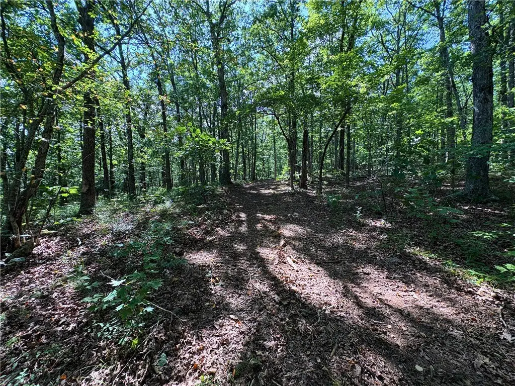 Picture 25