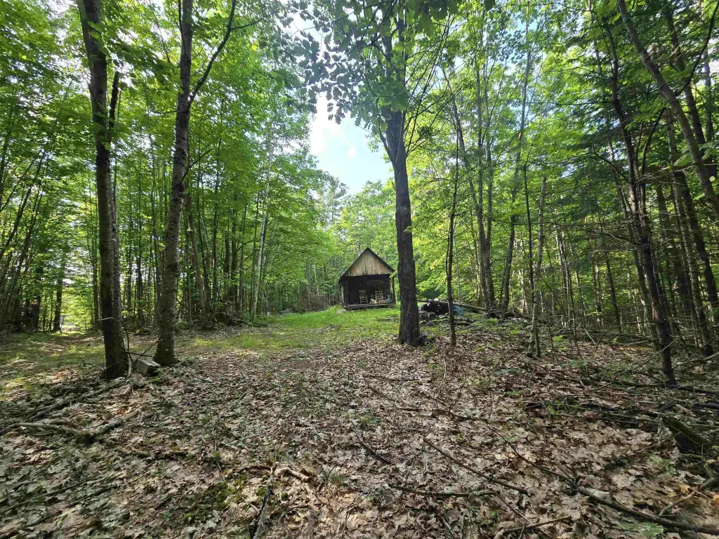 Picture 6