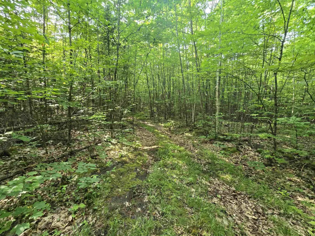 Picture 39