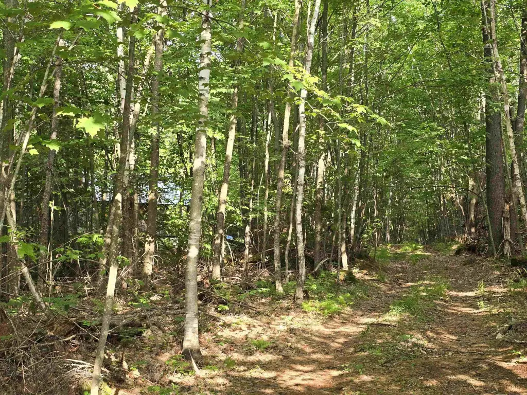 Picture 37