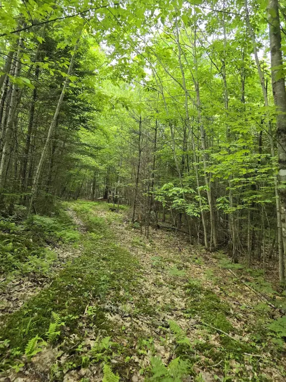 Picture 30